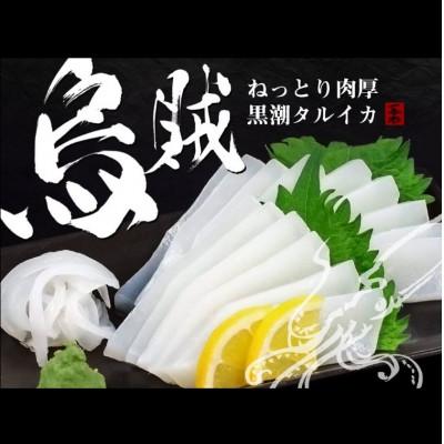 ふるさと納税 須崎市 タルイカ　1kg