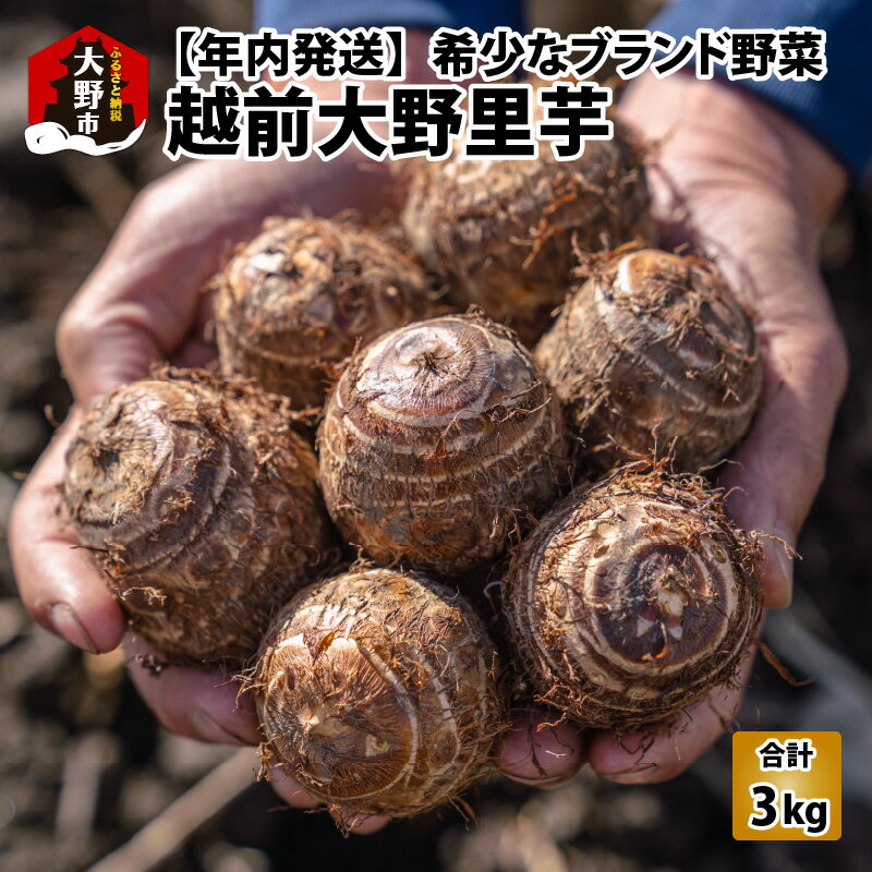 【ふるさと納税】【先行予約】越前大野里芋 3kg ねっとりうまい煮崩れしない！【11月より順次発送】 | 里芋・野菜・根菜 [A-001002]