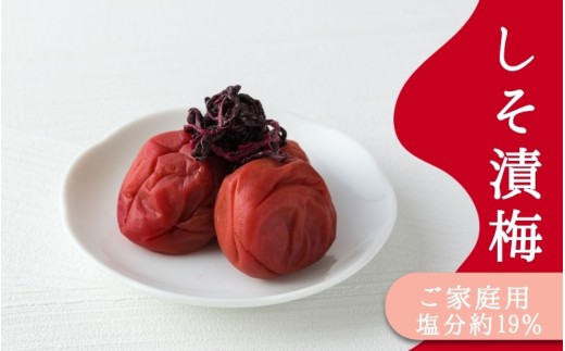 ご家庭用梅干し　しそ漬け　1kg(500g×2) / みなべ町 梅干 うめぼし ウメ しそ梅 紫蘇漬け 家庭用 紀州南高梅 南高梅 簡易包装 お弁当 おにぎり【mrt012A】