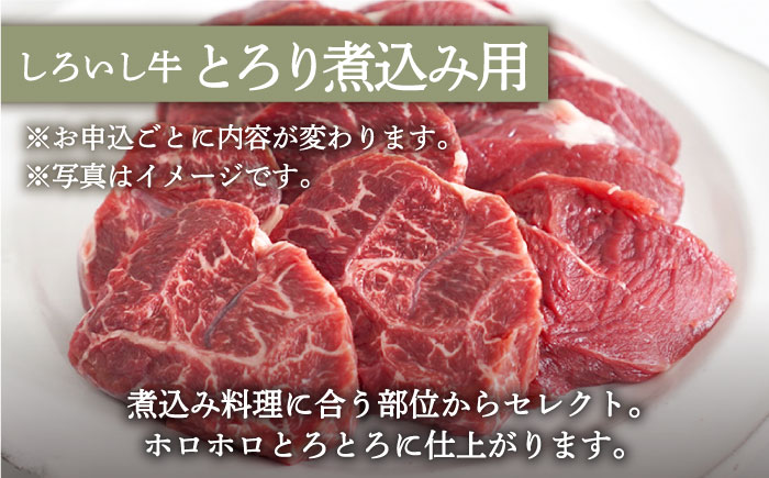 【牧場直送】人気返礼品セット！手ごねハンバーグ 4個＆しろいし牛 とろり煮込み用 700g【有限会社佐賀セントラル牧場】 [IAH114]