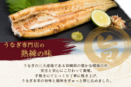 【2週間以内発送】うなぎ 白焼き 2尾 計300g以上 鰻 化粧箱入り 蒲焼たれ付 C427