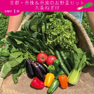 九条ねぎ & 野菜詰め合わせ　有機野菜・京野菜の『京都やおよし』亀岡・京丹後産 オーガニック 有機JAS 栽培期間農薬不使用 減農薬 野菜 ※着日指定不可  ※北海道・沖縄・離島への配送不可