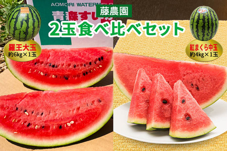 【先行予約】[羅王・紅まくら] スイカ 食べ比べ 2玉セット｜西瓜 [0620]