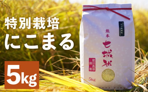 【紡ぐ。人をふる里を明日へ】極 にこまる 5kg お米 ご飯 ごはん 白米 米 精米 こめ コメ にこまる 熊本県産 国産