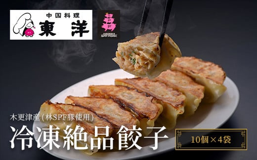 【木更津産(林SPF豚使用)】冷凍絶品餃子(10個×4袋) ふるさと納税 餃子 中華 ぎょうざ ギョウザ 本格 お店の味 人気 おつまみ おかず 千葉県 木更津 送料無料 KR002