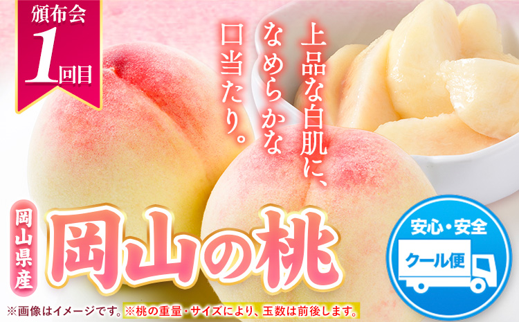 【先行予約】 岡山県産 旬の人気 くだもの 定期便 全2回 桃 約1.3.kg (4～8玉前後) シャインマスカット 約1.3kg (2房) 《7月上旬～11月中旬頃より発送予定》フルーツ 果物 定期