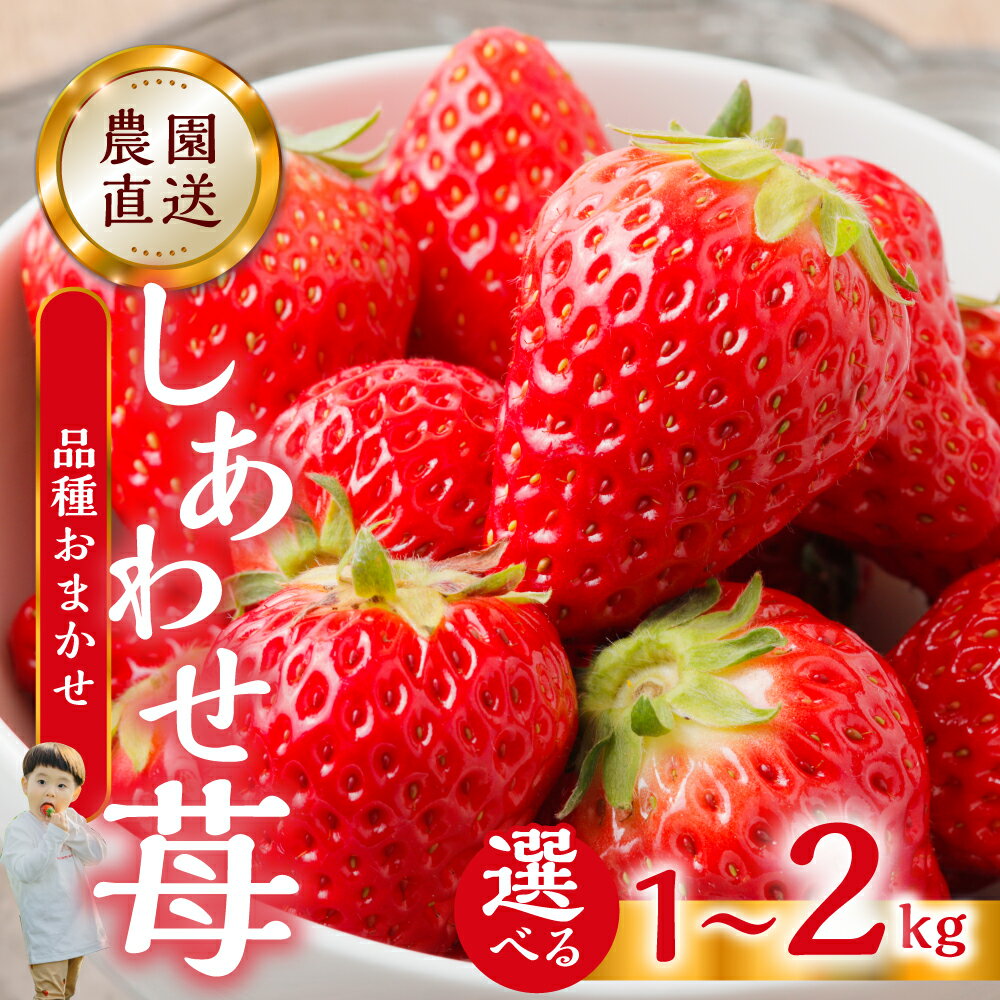 【ふるさと納税】【2026年1月以降発送】 自宅用 いちご 選べる 1kg (250g × 4p) or 2kg [しあわせ苺] 紅ほっぺ 品種おまかせ サイズ バラバラ 訳あり 訳アリ 農園直送 フルーツ 果物 苺 イチゴ 大人 人気 小分け 簡易梱包 家庭用 産地直送 先行予約 岐阜 期間限定 [nt524]