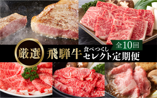 《定期便10回》飛騨牛食べつくし厳選セレクト 10か月 焼肉 サーロイン肩ロース ロース モモ すき焼き しゃぶしゃぶ 食べ比べ 牛肉 国産 焼き肉 赤身 A4 A5 等級 だるまミート 岐阜県 白川村 贅沢 冷凍 270000円 [S408]