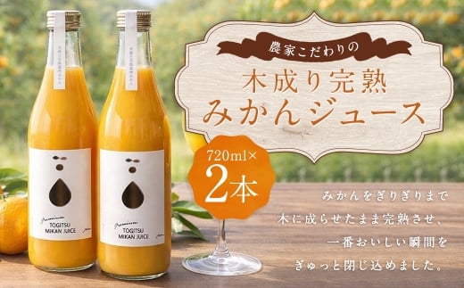 【 数量限定 】 農家こだわりの木成り完熟みかんジュース 720ml 計2本 みかんジュース ジュース ミカン みかん 蜜柑 飲料 完熟 完熟みかん 温州みかん 化粧箱 贈答用 プレゼント 【 2026年10月上旬迄発送予定 】