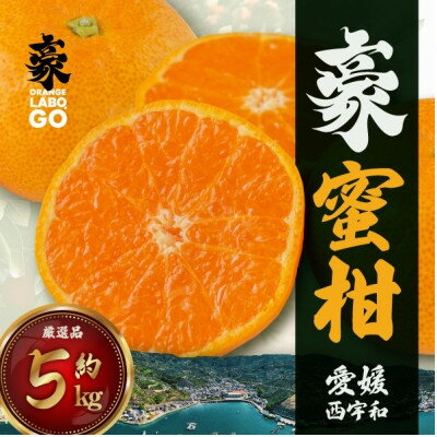 【ふるさと納税】豪 蜜柑　5kg(S～Lサイズ)【C88-1】【1660442】