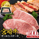 【ふるさと納税】ギフト用 宮崎牛 サーロイン ステーキ 250g × 2枚 500g 冷凍 宮崎県産 黒毛和牛 肉質等級 4等級以上 余分な脂 少なめ サシ 細かい 上品 脂 赤身 旨み 贈り物 お取り寄せ グルメ 宮崎県 延岡市 送料無料