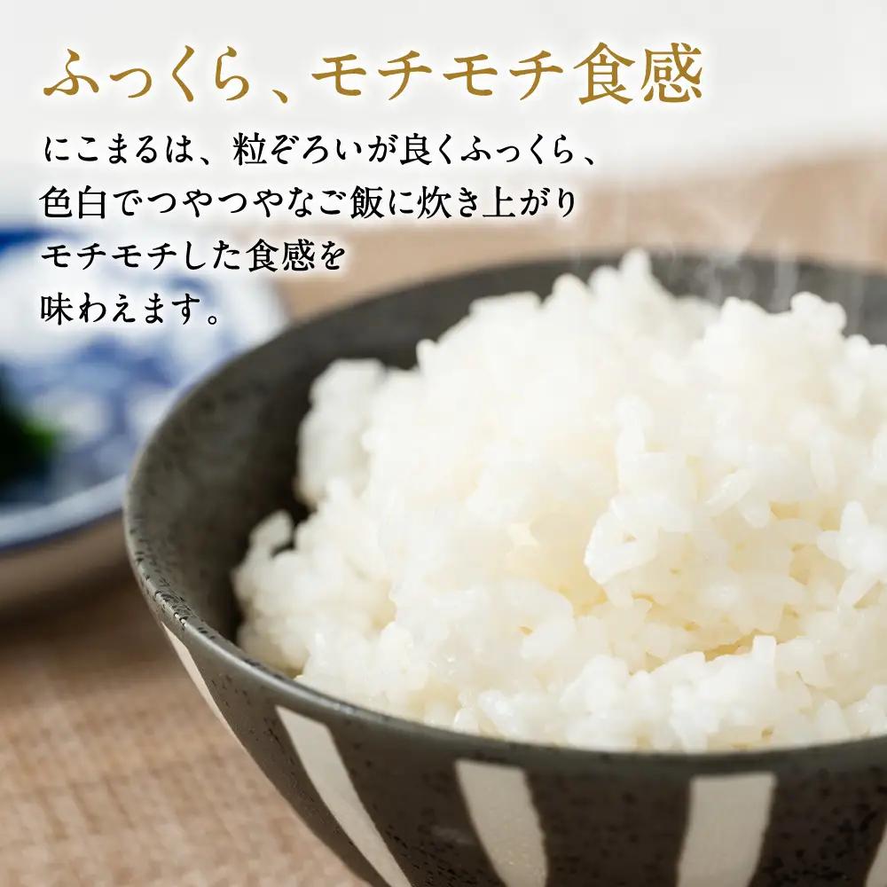 【先行予約】 【定期便6回】 《令和8年産》 菜の花畑のお米 「特別栽培米」合計30kg （5kg×6回） にこまる 米 精米 【2026年12月上旬より順次発送】