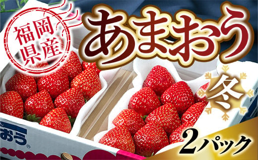 福岡産あまおう冬2パック   ※2024年12月上旬から2025年1月下旬に順次発送予定　AX001