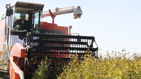 茨城県産 常陸そば 乾麺 ご贈答用 つゆ付セット 乾麺200ｇ×4袋　麺つゆ300ml×1本 そば 蕎麦 [BE034sa]