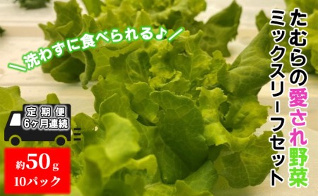 ミックスリーフセットたむらの愛され野菜群馬県産ミックスリーフセット【10個】【定期便6ヶ月】