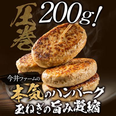 ふるさと納税 淡路市 淡路島たまねぎどっさりジャンボハンバーグ プレーン&チーズセット 200g×10個　ai01885 |  | 02