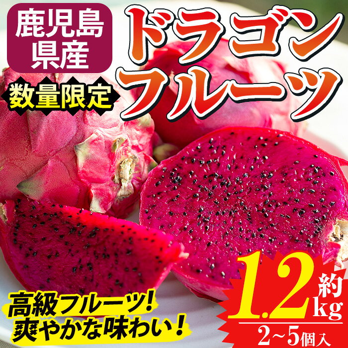 【ふるさと納税】《数量・期間限定》鹿児島県産 ドラゴンフルーツ(約1.2kg) 国産 鹿児島 日置市 産地直送 スイーツ デザート 果実 果物 くだもの フルーツ 栽培期間中 農薬不使用 無農薬 贈り物 贈答品【はまうえ果樹園】