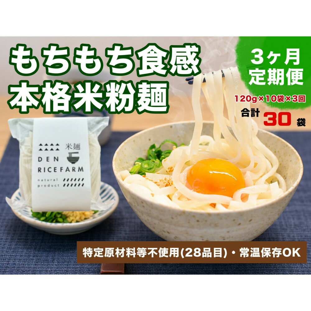 【ふるさと納税】【定期便】【3ヶ月連続お届け】グルテンフリー 無添加 米麺 120g 10個セット（白米麺10個）｜米粉 うどん 焼きそば パスタ 麺
