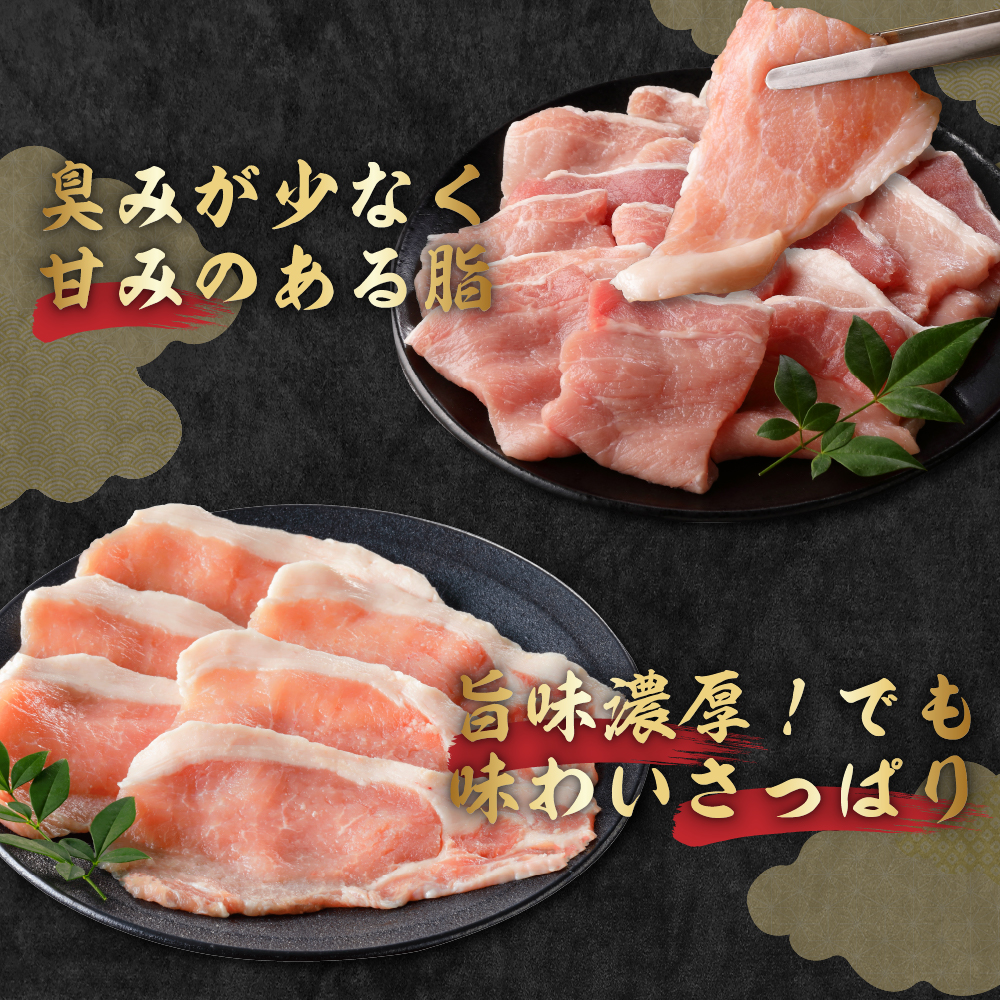 豚肉 天元豚 ひき肉 1kg ( 250g × 4パック ) ブランド豚 精肉 ポーク ミンチ 挽き肉 挽肉 国産 山形県 米沢市