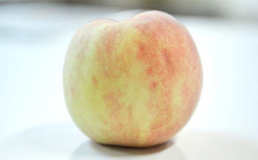 FYN9-917 ≪2025年先行予約≫ご家庭用 山形県産 おまかせ 白桃 約5kg(12～20玉) 2025年8月上旬から順次発送 夏果実 果実 果物 くだもの フルーツ 桃 もも ピーチ 家庭用 