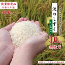 【ふるさと納税】24-740．【令和6年産新米・早期受付】 沢のしずく ヒノヒカリ 10kg 無洗米 限定 ひのひかり 令和6年 2024年 新米 早期 先行 便利 白米 精米 白米 米 こめ コメ ごはん 高知 四万十 しまんと お取り寄せ 送料無料 四万十川【2024年11月上旬より順次配送】