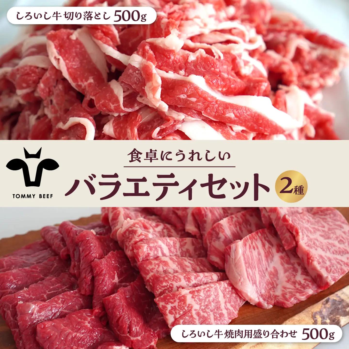 しろいし牛 食卓にうれしいバラエティ セット（切り落とし 500g＆焼肉用 500g） 佐賀セントラル牧場 [IAH194]