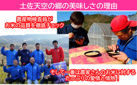 【新米予約】令和7年産土佐天空の郷 にこまる 10kg 2010年・2016年 お米日本一コンテスト inしずおか 特別最高金賞受賞の棚田米 