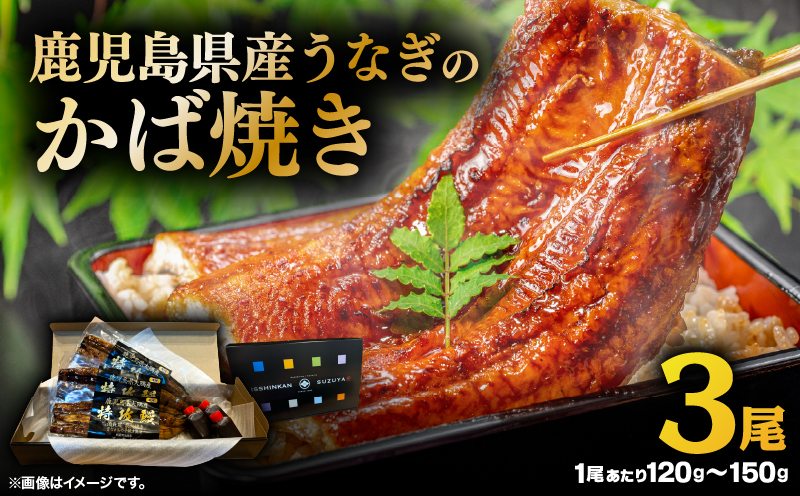 鹿児島県産うなぎのかば焼き 3尾　KN174-001-03