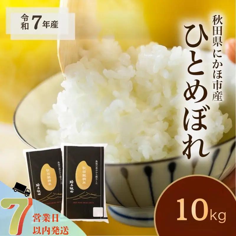 白米 ひとめぼれ 10kg 令和7年産 ひとめぼれ
