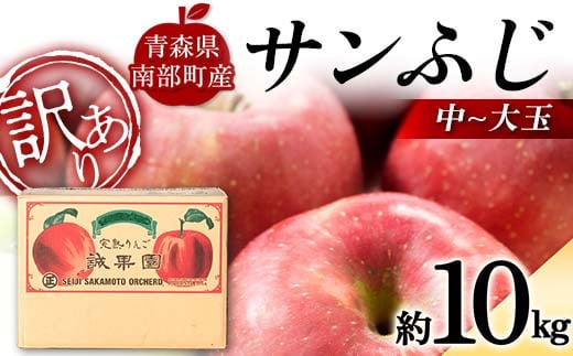 
            【訳あり】 青森産 完熟 りんご サンふじ （中～大玉） 約10kg 【誠果園】 青森りんご リンゴ 林檎 アップル あおもり 青森 青森県 南部町 三戸 南部 澁川賞受賞 果物 くだもの フルーツ 家庭用 規格外 わけあり ワケアリ 訳アリ F21U-389
          