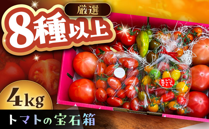 トマトの宝石箱 4kg / トマト とまと 大玉トマト ミニトマト 詰め合わせ / 恵那市 / クリエイティブファーマーズ [AUAH015]