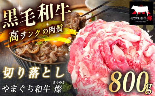 数量限定！選べる 極上牛肉 やまぐち和牛 燦 ( きらめき ) 切り落とし 800g ｜ 山口 県 美祢市 牛肉 ブランド牛 黒毛和牛 切り落とし 牛 肉 お肉 にく