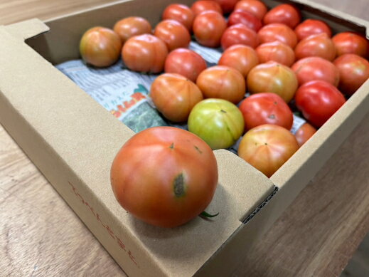 【ふるさと納税】訳ありてっぺんとまと（5kg/1箱）高知県産 てっぺんとまと 5kg 無加温栽培 フルーツトマト 高騰度 甘い とまと トマト 野菜 やさい 産地直送 ご家庭用 訳あり 送料無料