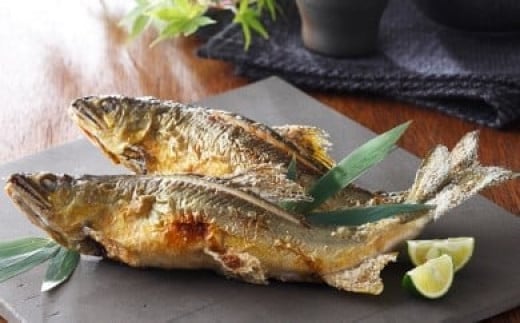 
            【一級河川・江の川の恵み】生粋鮎　0.8kg【約800g 13尾前後 魚介類 魚 川魚 あゆ アユ 高鮮度 冷蔵 期間限定 季節限定 7月～10月中旬発送】
          