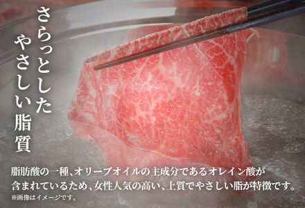 【和牛セレブ】【復興支援】能登牛 牛肩ロース すき焼き・しゃぶしゃぶ500g（200g+300g） 牛肉 最高級 黒毛和牛 和牛 肉汁
