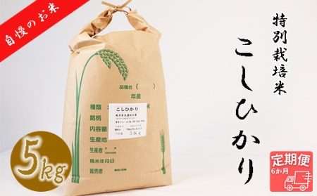 ≪令和6年産≫ 新米 【6か月定期便】 【特別栽培米】 垂井町産 コシヒカリ (5kg×6回）