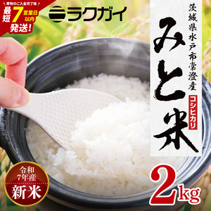 令和7年産 茨城県水戸市常澄産コシヒカリ みと米2kg【こしひかり お米 米 水戸市 茨城県】（EX-5）