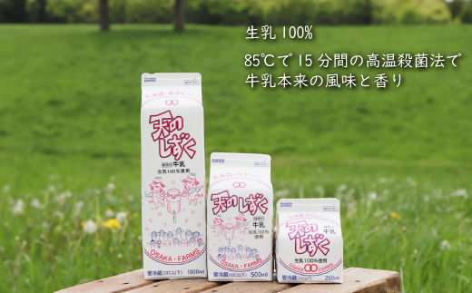 天のしずく　詰め合わせセットＡ(1000ml×3本・500ml×3本・250ml×3本,合計5.2L)【51001】_イメージ3