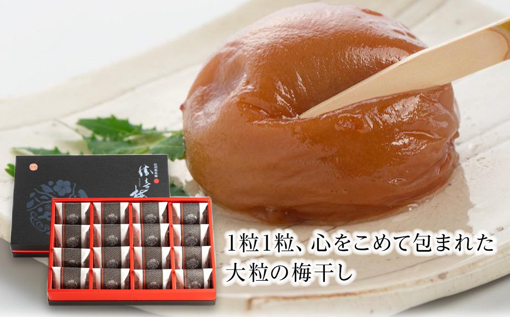 大粒の紀州南高梅 人気のはちみつ仕立て「極」20包