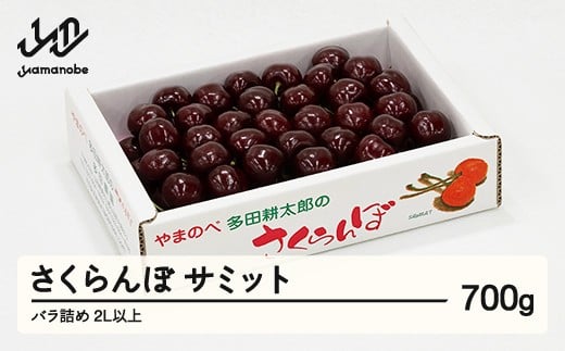 《先行予約》2026年 山形県産 サミット バラ詰め 約700g やまのべ多田耕太郎のさくらんぼ サクランボ tn-smx2b700