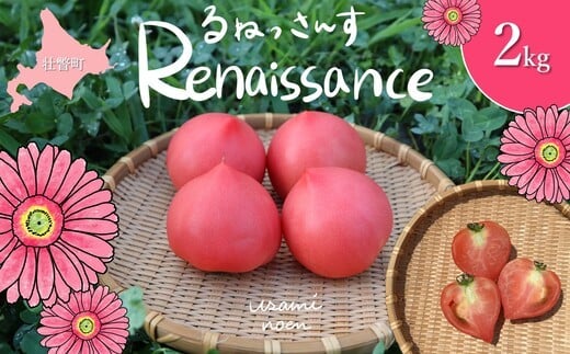 
            北海道壮瞥町産 ルネッサンス2kg トマト 【 ふるさと納税 人気 おすすめ ランキング トマト とまと 野菜 ルネッサンス サラダ スライス 産地直送 北海道産 北海道 壮瞥町 送料無料 】 SBTAJ008
          
