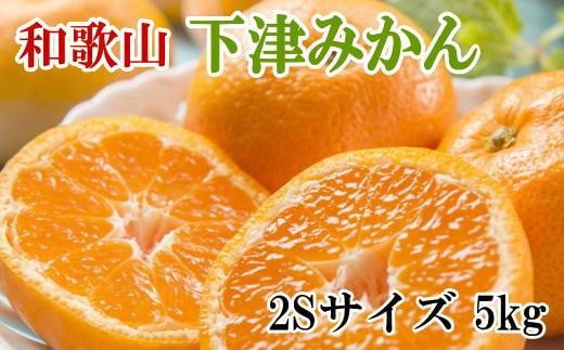 
            【産直・秀品】和歌山下津みかん約5kg（2Sサイズ）★2025年11月中旬頃より順次発送［TM72］
          