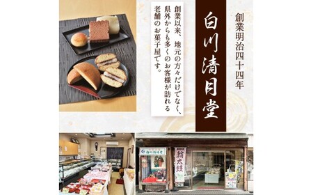 【地元銘菓】輪太鼓（わでこ） 10個入 （輪太鼓 わでこ 老舗 ブッセ お餅 餅 餡子 銘菓 お菓子 宮崎 小林市）