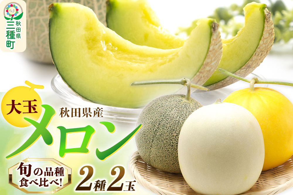 
《予約》旬のメロン 大玉 2種類 2玉 果物 フルーツ 秋田県産
