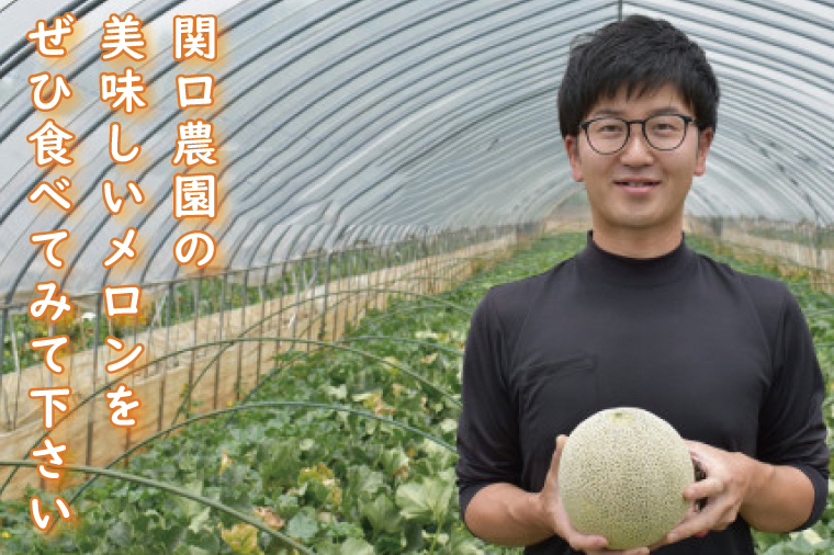 【2026年5月より順次発送】イバラキングメロン 1玉(1.5kg以上)｜メロン イバラキングメロン フルーツ 果物 くだもの 先行予約 茨城県 行方市(BW-27)