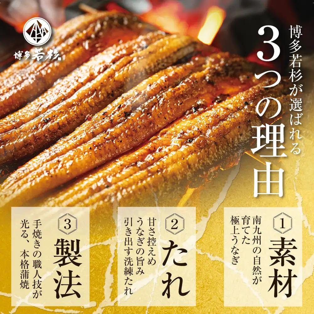 Z61-72 国産 うなぎ 蒲焼大サイズ4尾（計670g以上） うなぎ
