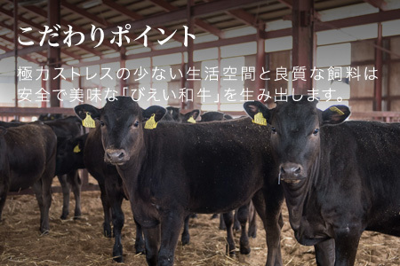 ステーキ ギフトセット 「びえい 和牛 」 ファームズ千代田 | ステーキ 北海道 [035-18]