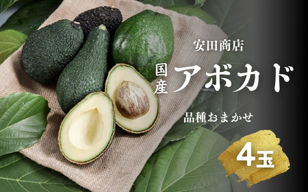 田原アボカド バラエティセット　4個入り