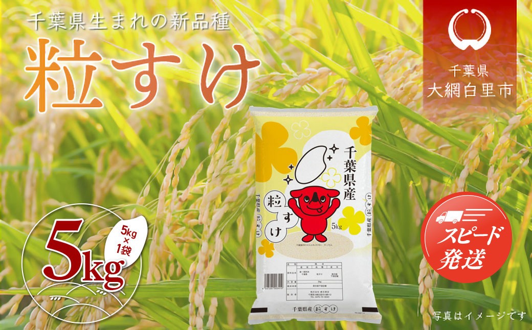
            【新米】令和7年産 千葉県産「粒すけ」5kg（5kg×1袋） お米 5kg 千葉県産 大網白里市 粒すけ 米 精米 こめ 送料無料 A053
          