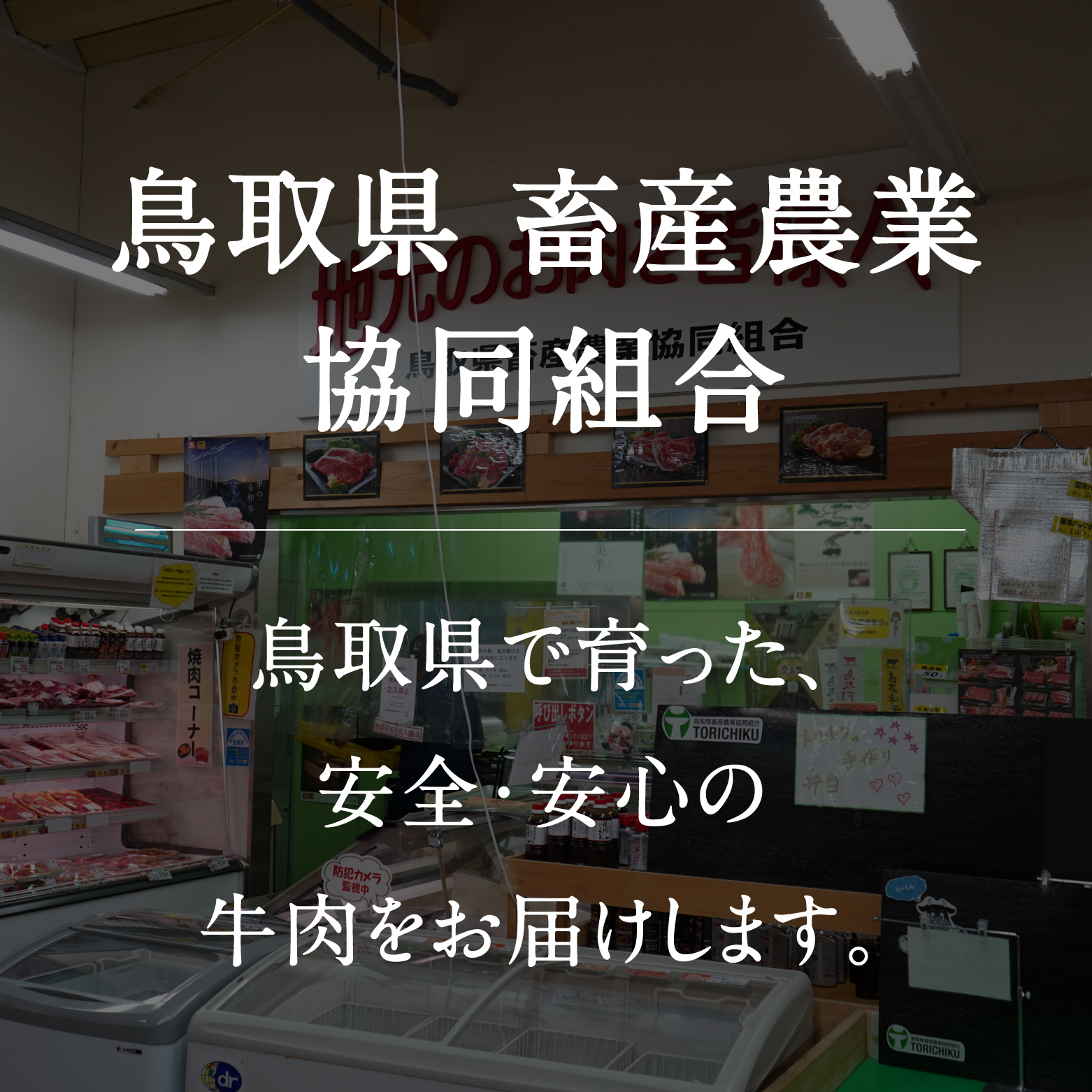 鳥取和牛小間切れ 約500g 和牛 牛肉 牛 肉 精肉 とりちく 鳥取県畜産農業協同組合